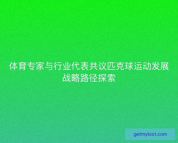 体育专家与行业代表共议匹克球运动发展战略路径探索